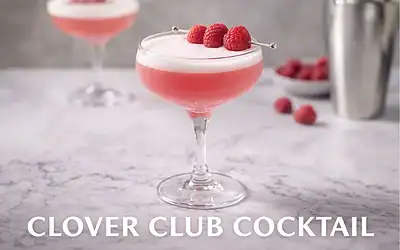 Clover Club Cocktail Recipe