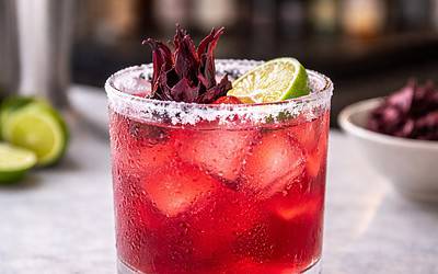 Hibiscus Margarita Recipe