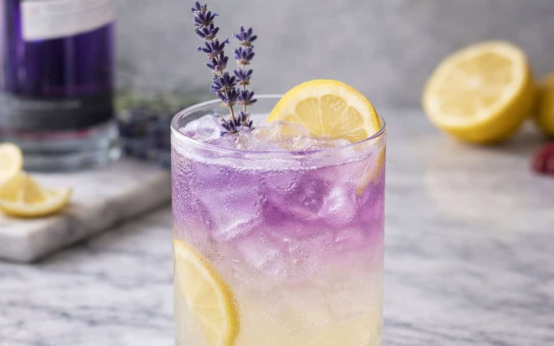 lavender gin lemonade in a chilled rocks glass on a marble counter with a purple and yellow hue garnished with lavender picks and fresh lemon slice
