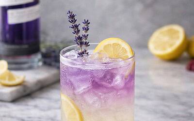 Lavender Gin Lemonade
